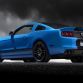 Ford Shelby GT500 2013