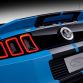 Ford Shelby GT500 2013