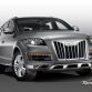 gallery-sport-wheels-audi-grilles-1