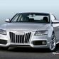 gallery-sport-wheels-audi-grilles-3
