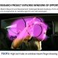 GM Explores Windows of Opportunity