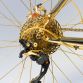 Gold Bicylce (2)