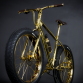 Gold Bicylce (2)