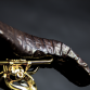 Gold Bicylce (6)
