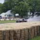 Goodwood Festival of Speed 2015 (104)