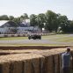 Goodwood Festival of Speed 2015 (2)