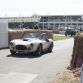 Goodwood Festival of Speed 2015 (34)
