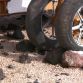 goodyear-spring-tire-for-space-exploration-2