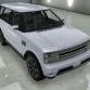 Grand Theft Auto V Cars