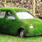 grass-cars-2