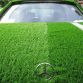 grass-cars-5
