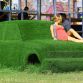 grass-cars
