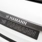 Hamann Guardian Evo