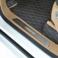 Hamann Guardian Evo