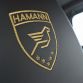 Hamann Guardian Evo