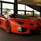 hamann-nervudo-for-sale-1