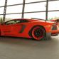 hamann-nervudo-for-sale-11