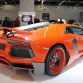 hamann-nervudo-7