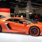 hamann-nervudo-8