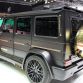 Hamann Spyridon