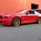 Holman and Moody TdF Mustang 2014