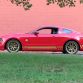 Holman and Moody TdF Mustang 2014