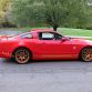 Holman and Moody TdF Mustang 2014