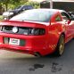 Holman and Moody TdF Mustang 2014