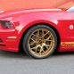 Holman and Moody TdF Mustang 2014
