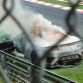Honda NSX Prototype Burns at Nurburgring