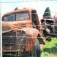 vintage-car-museum-0585