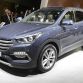Hyundai Sante Fe (1)