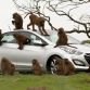 Hyundai i30 2012 - Monkeys go nuts for the toughest car challenge