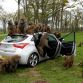 Hyundai i30 2012 - Monkeys go nuts for the toughest car challenge