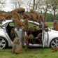 Hyundai i30 2012 - Monkeys go nuts for the toughest car challenge