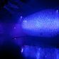 Hyundai reveals Fluidic Sculpture In Motion light installation