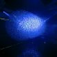 Hyundai reveals Fluidic Sculpture In Motion light installation