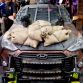 hyundai-veloster-turbo-twd-comic-con-08