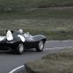 Jaguar D-Type Restored