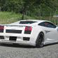 Japanese Lamborghini Club