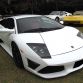 Japanese Lamborghini Club