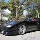 Japanese Lamborghini Club