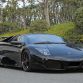Japanese Lamborghini Club