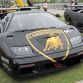 Japanese Lamborghini Club
