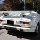 Japanese Lamborghini Club