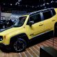 Jeep in Paris 2014 (8)