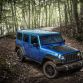 Jeep Wrangler Black Bear Edition 2016 (1)