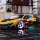 Khyzyl_Saleem_bizzare_creations_(13)
