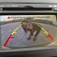 Kia Sorento 2013