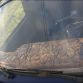 Lada 21099 with Wood Dashboard